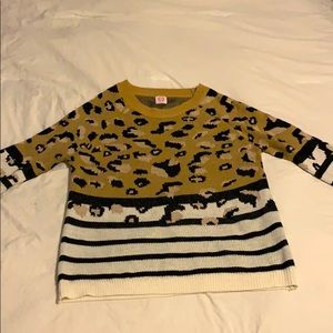 Cheetah print and striped sweater